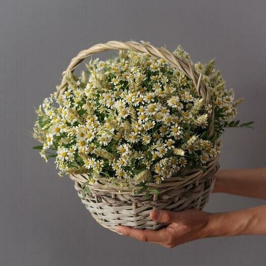 Композиция из ромашек, артикул F1292757 - 19294 рублей, доставка по городу. Flawery - доставка цветов