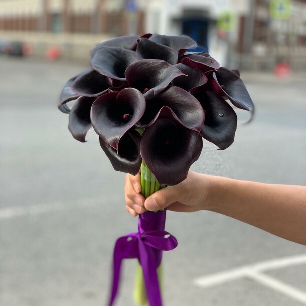 Чёрные каллы, артикул F1149934 - 25935 рублей, доставка по городу. Flawery - доставка цветов