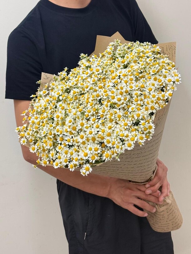 Полевая ромашка, артикул F1445437 - 11145 рублей, доставка по городу. Flawery - доставка цветов