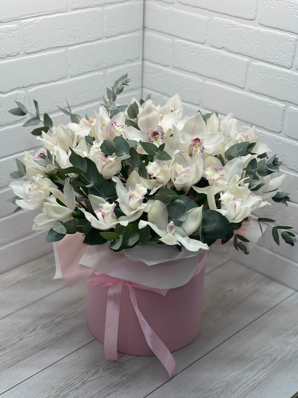 Орхидеи в коробке, артикул F1147376 - 18863 рублей, доставка по городу. Flawery - доставка цветов