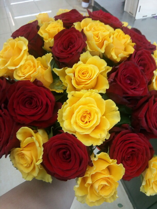 Елена, артикул F67301 - 9317 рублей, доставка по городу. Flawery - доставка цветов