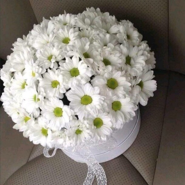 Коробочка с ромашковой хризантемой, артикул F103532 - 4390 рублей, доставка по городу. Flawery - доставка цветов