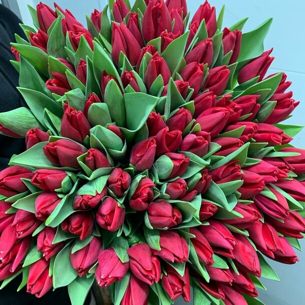 101 красный тюльпан, артикул F106604 - 22354 рублей, доставка по городу. Flawery - доставка цветов