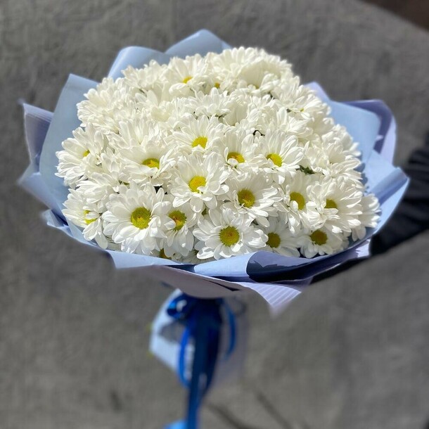 11 кустовых хризантем, артикул F1073340 - 4790 рублей, доставка по городу. Flawery - доставка цветов