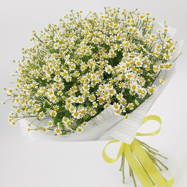 Ромашковые луга, артикул F1081146 - 9290 рублей, доставка по городу. Flawery - доставка цветов