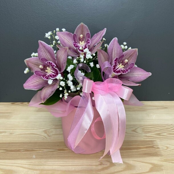 Орхидея в коробке xs, артикул F1155283 - 1990 рублей, доставка по городу. Flawery - доставка цветов