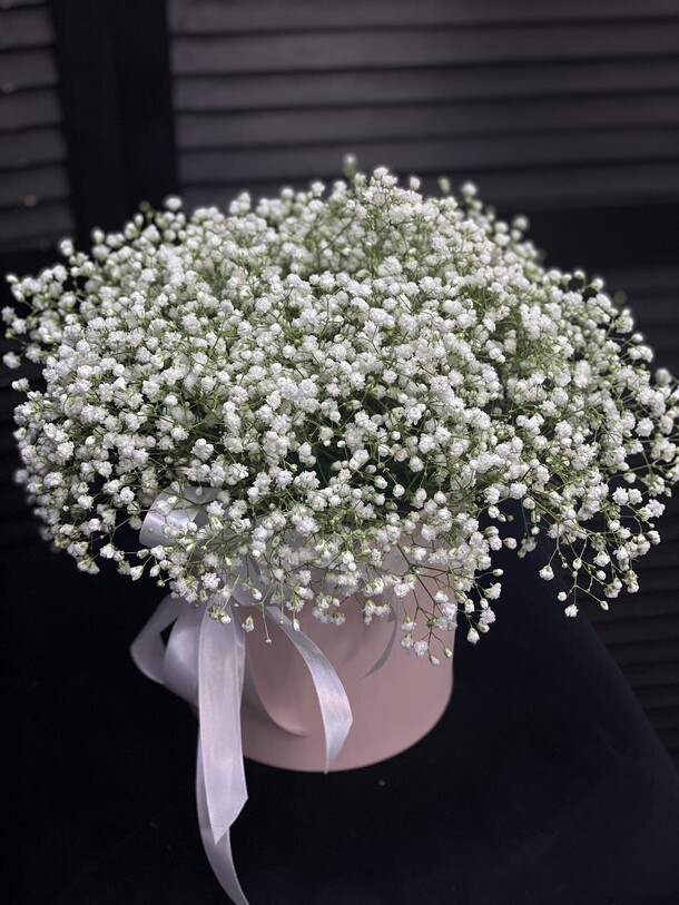 Гипсофила в коробке, артикул F1294743 - 4783 рублей, доставка по городу. Flawery - доставка цветов