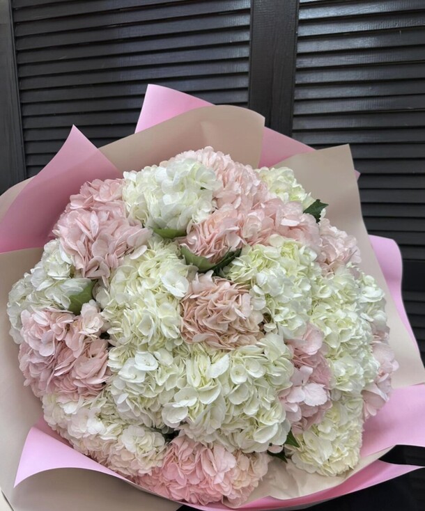 Букет из 21 гортензии в упаковке, артикул F1297462 - 12070 рублей, доставка по городу. Flawery - доставка цветов