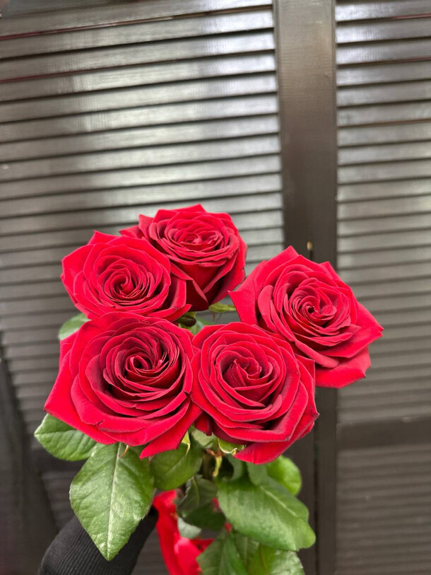 Букет из 5 красных роз 50 см, артикул F1425913 - 1813 рублей, доставка по городу. Flawery - доставка цветов