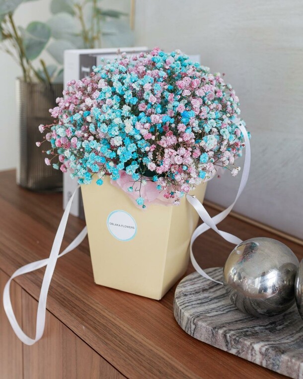 Гипсофила тутти-фрутти в сумочке, артикул F1399563 - 2400 рублей, доставка по городу. Flawery - доставка цветов