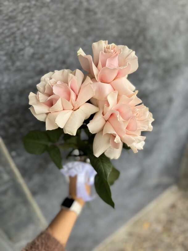 Роза французская, артикул F1328444 - 1786 рублей, доставка по городу. Flawery - доставка цветов