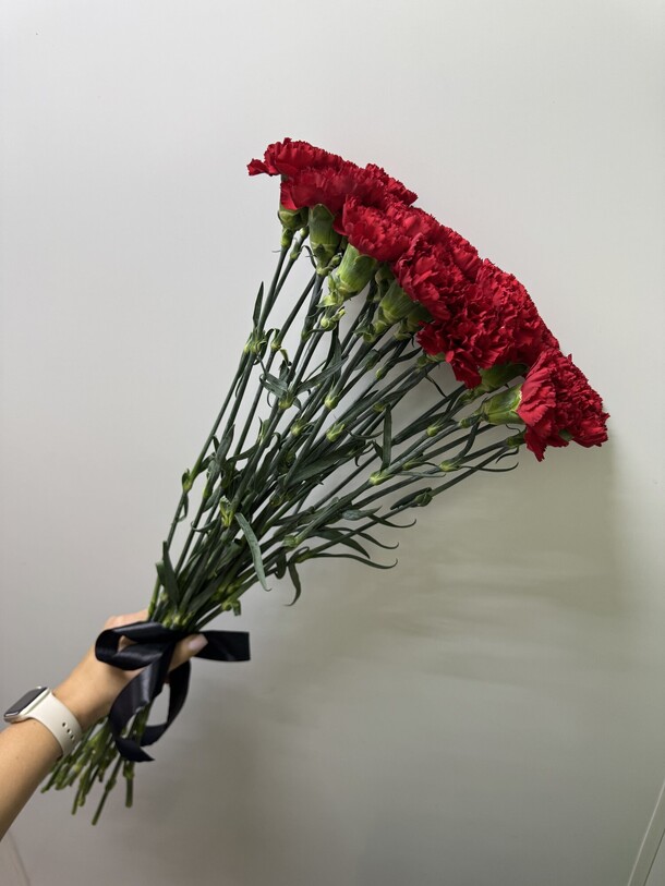 20 красных гвоздик, артикул F1382357 - 3760 рублей, доставка по городу. Flawery - доставка цветов