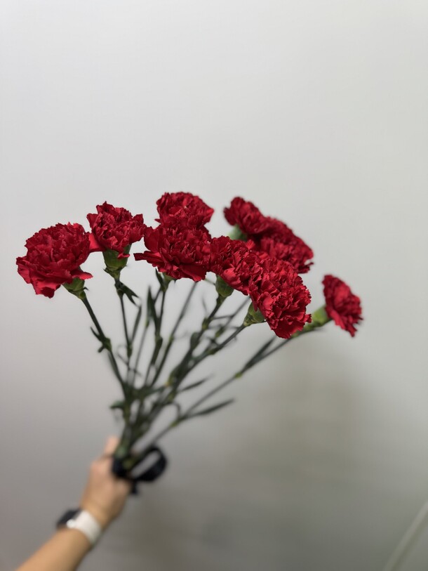 Букет 12 гвоздик, артикул F1382358 - 2410 рублей, доставка по городу. Flawery - доставка цветов