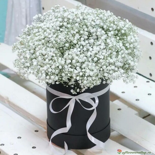 Шляпная коробка с воздушной гипсофилой, артикул F1083540 - 4659 рублей, доставка по городу. Flawery - доставка цветов