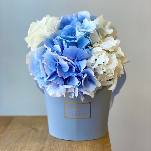 Зефирка голубая с гортензией mix, артикул F1071845 - 2800 рублей, доставка по городу. Flawery - доставка цветов