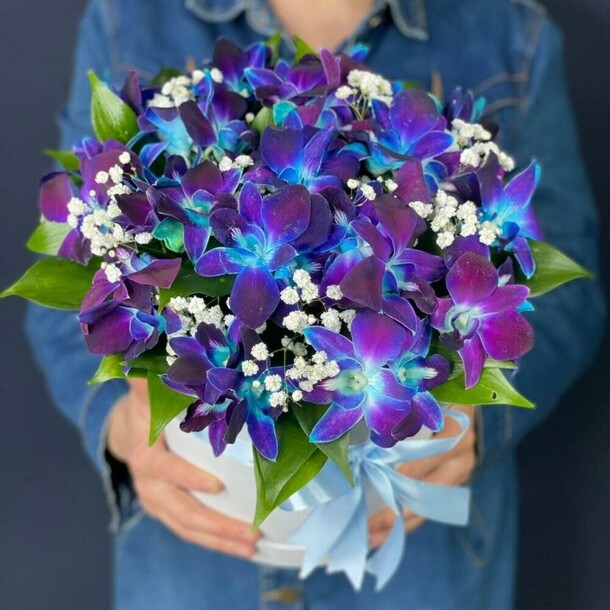 Орхидеи космические, артикул F1184310 - 6273 рублей, доставка по городу. Flawery - доставка цветов