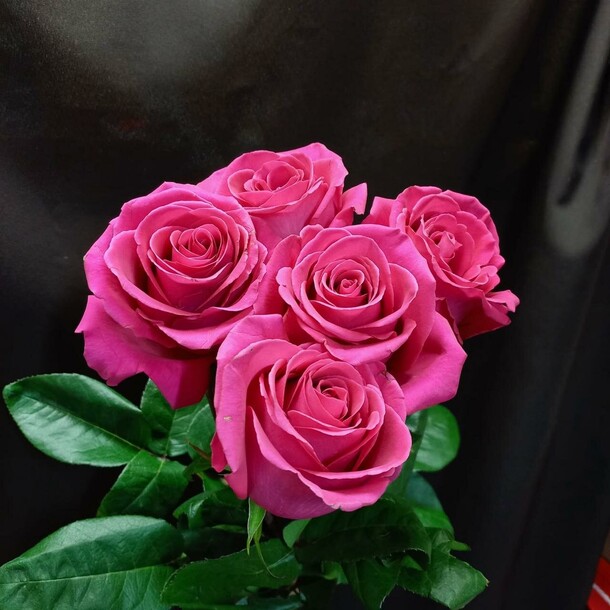 Роза пинк флойд, артикул F1092203 - 1990 рублей, доставка по городу. Flawery - доставка цветов