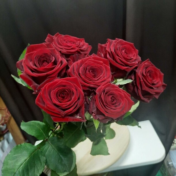 Эквадорская роза эксплорер, артикул F1092226 - 3360 рублей, доставка по городу. Flawery - доставка цветов