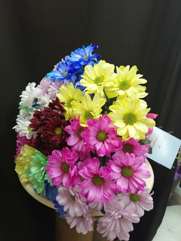 Букет кустовых хризантем 17 шт, артикул F1105773 - 6950 рублей, доставка по городу. Flawery - доставка цветов