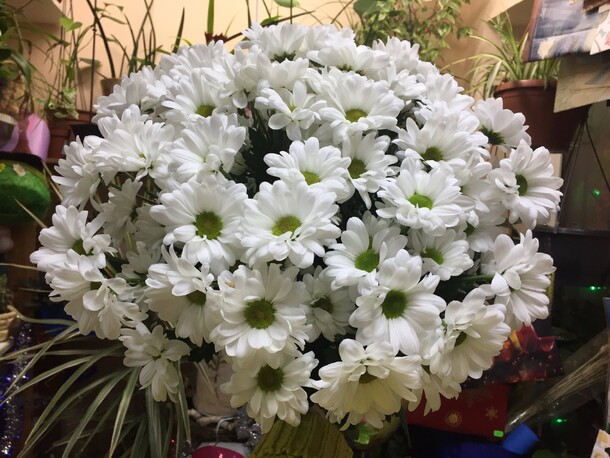 Моно букет кустовых хризантем бакарди 11 шт, артикул F65376 - 4900 рублей, доставка по городу. Flawery - доставка цветов