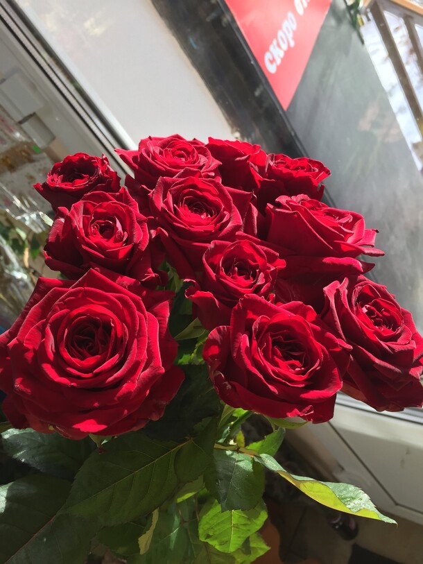 Роза ред наоми 11 шт, артикул F67944 - 3002 рублей, доставка по городу. Flawery - доставка цветов