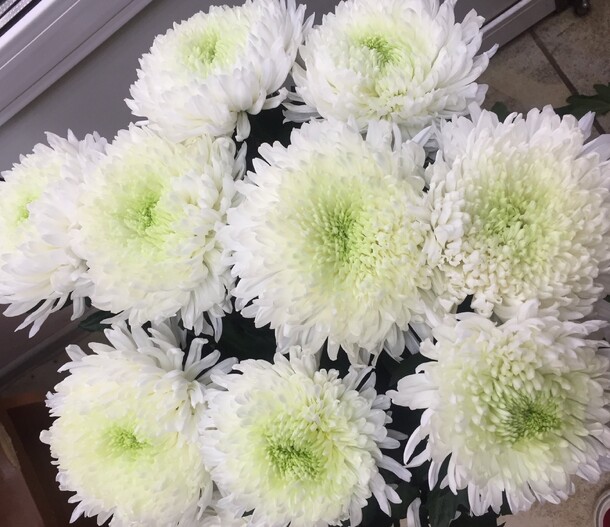 Букет «антонов», артикул F69583 - 4750 рублей, доставка по городу. Flawery - доставка цветов