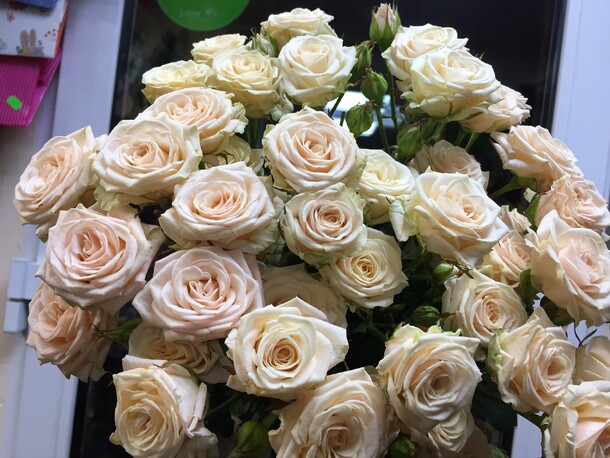 Букет кремовых кустовых роз, артикул F75696 - 4650 рублей, доставка по городу. Flawery - доставка цветов