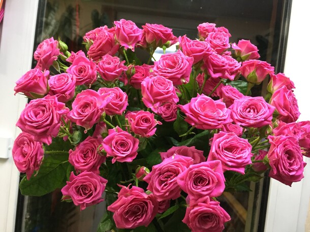 Букет кустовых роз лавли лидия, артикул F75697 - 4500 рублей, доставка по городу. Flawery - доставка цветов