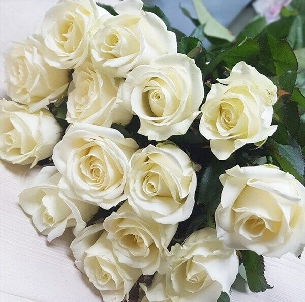 Букет подмосковных роз аваланш 15 шт, артикул F76817 - 3150 рублей, доставка по городу. Flawery - доставка цветов