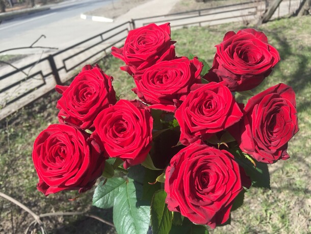 Ред наоми 9 шт, артикул F77875 - 1960 рублей, доставка по городу. Flawery - доставка цветов