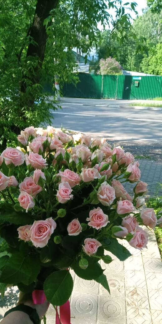 Кустовая лидия 11 шт, артикул F85451 - 5550 рублей, доставка по городу. Flawery - доставка цветов