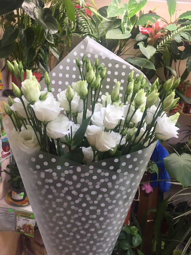 Эустома 7 шт, артикул F90774 - 5173 рублей, доставка по городу. Flawery - доставка цветов