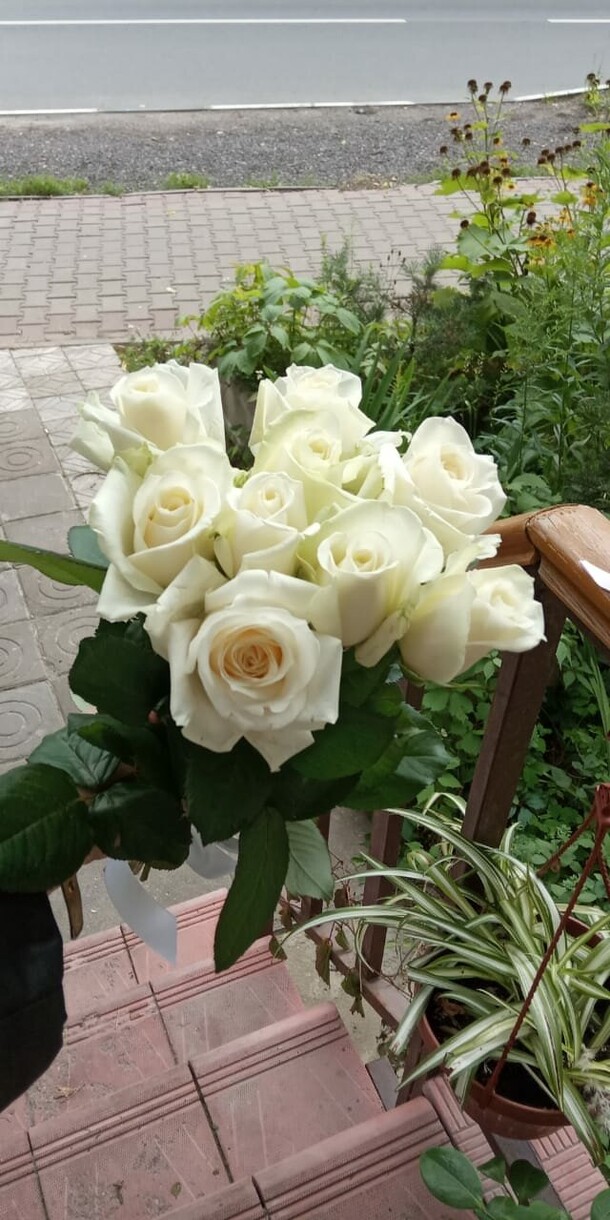 Роза аваланш, артикул F91086 - 1930 рублей, доставка по городу. Flawery - доставка цветов