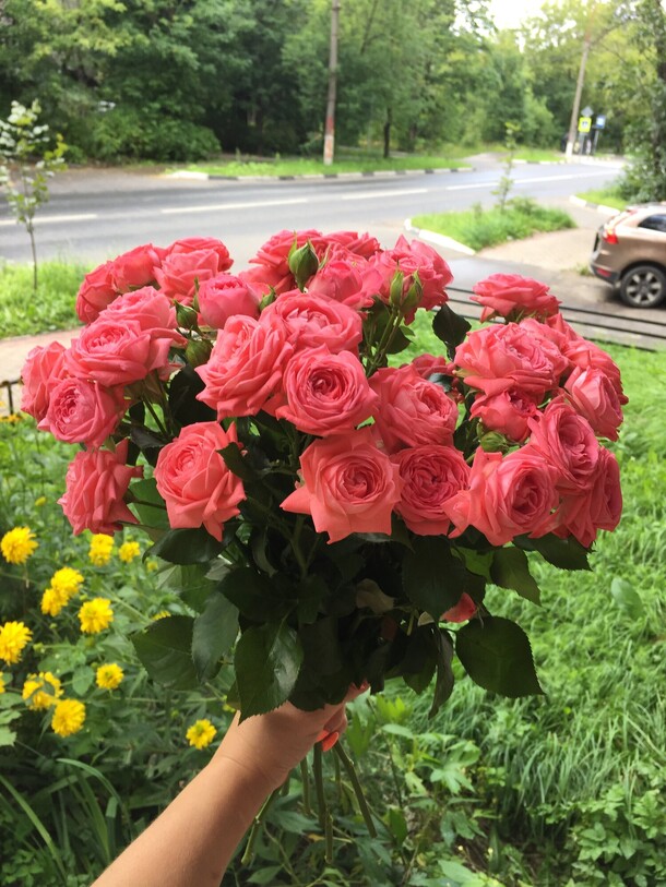 Кустовая роза барбадос 11 шт, артикул F91090 - 3993 рублей, доставка по городу. Flawery - доставка цветов