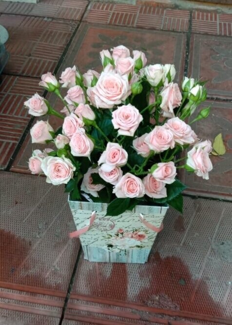 Коробочка кустовых роз, артикул F94861 - 3809 рублей, доставка по городу. Flawery - доставка цветов