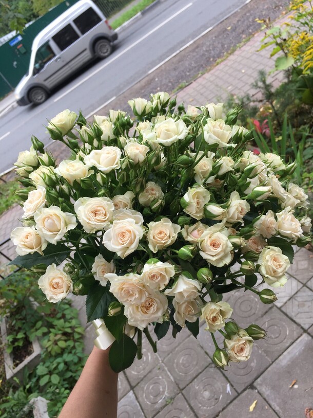 21 кустовая роза, артикул F94872 - 7800 рублей, доставка по городу. Flawery - доставка цветов