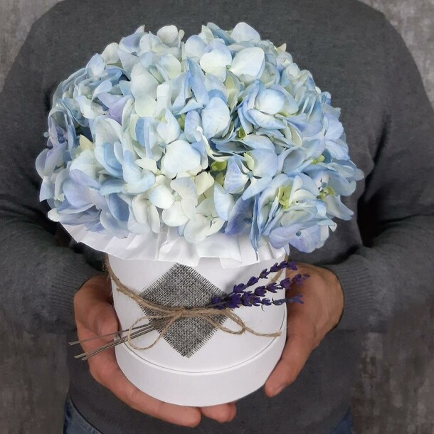 Небесный сапфир, артикул F107949 - 3570 рублей, доставка по городу. Flawery - доставка цветов