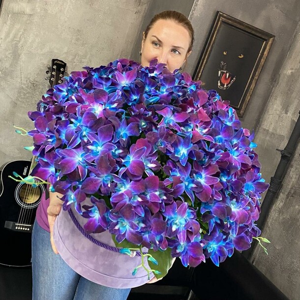 Мегастар 201 орхидея, артикул F108616 - 23583 рублей, доставка по городу. Flawery - доставка цветов