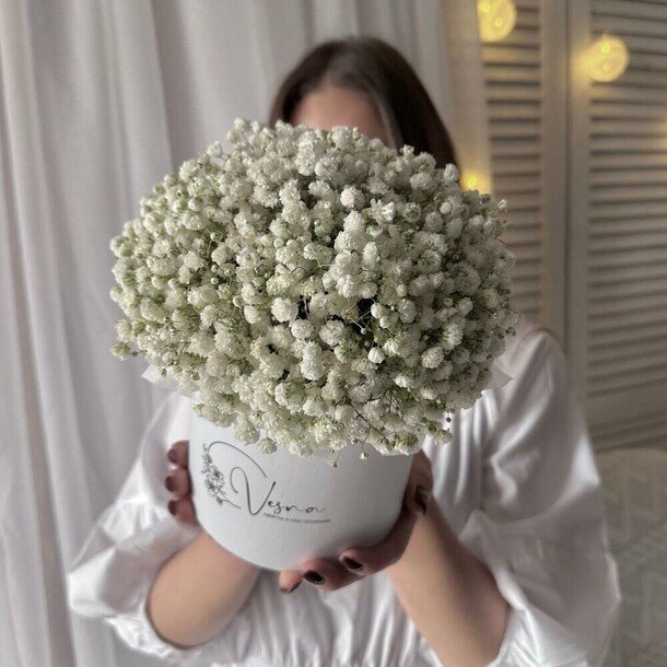 Белая гипсофила в коробке размер s, артикул F1271518 - 2185 рублей, доставка по городу. Flawery - доставка цветов