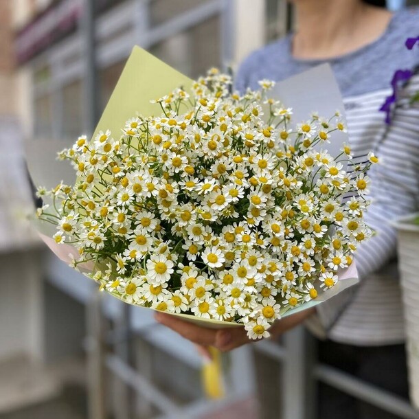 Камилла, артикул F1124856 - 4200 рублей, доставка по городу. Flawery - доставка цветов