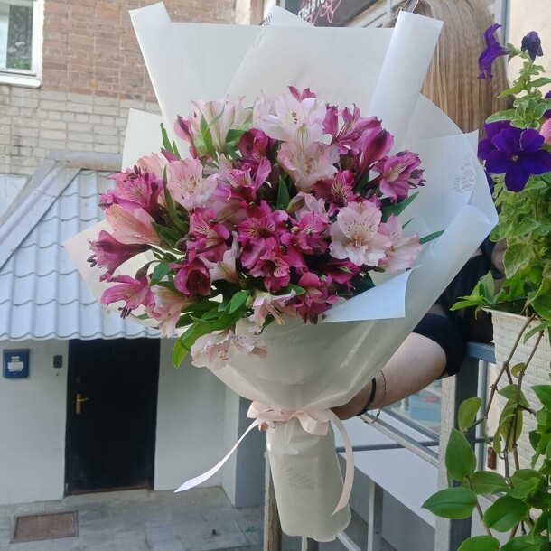 Альстра, артикул F1130028 - 4300 рублей, доставка по городу. Flawery - доставка цветов