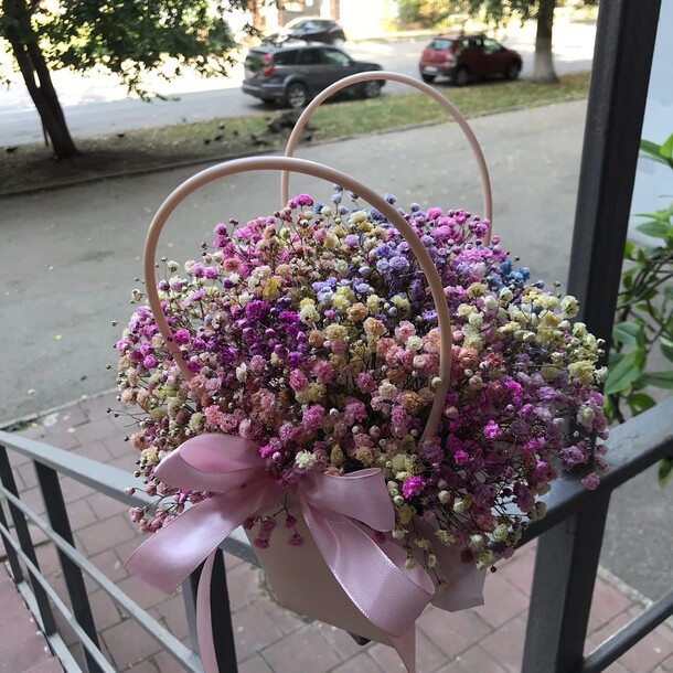 Радужная гипсофила в переноске с ручками, артикул F1135721 - 2290 рублей, доставка по городу. Flawery - доставка цветов