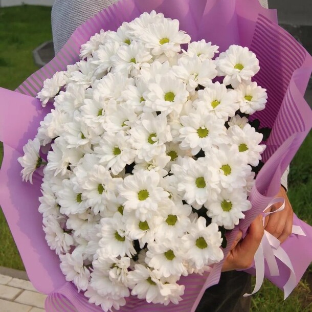 11 хризантем ромашек, артикул F94453 - 3890 рублей, доставка по городу. Flawery - доставка цветов