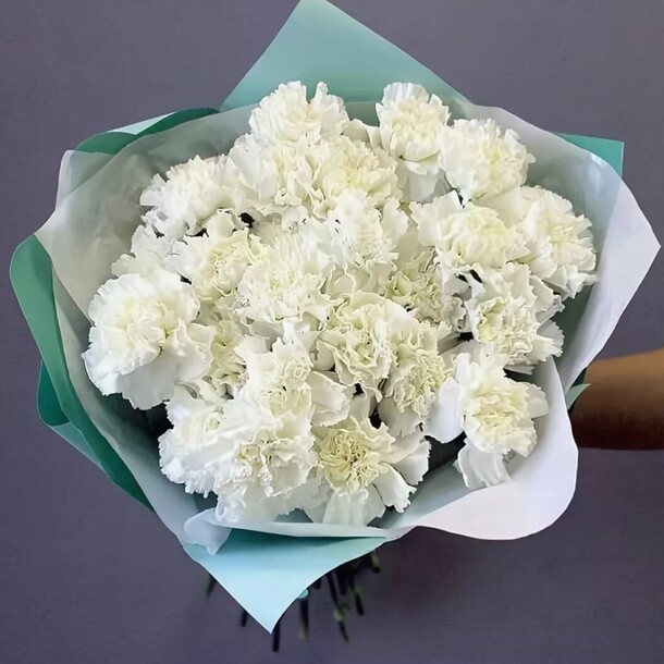 Букет из 25 диантусов, артикул F1246334 - 5445 рублей, доставка по городу. Flawery - доставка цветов