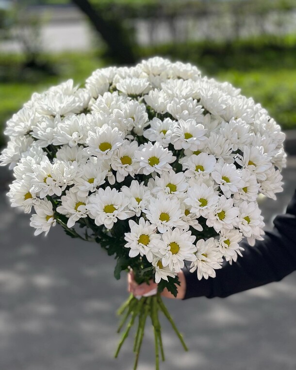 Ромашковое поле, артикул F1140577 - 5900 рублей, доставка по городу. Flawery - доставка цветов