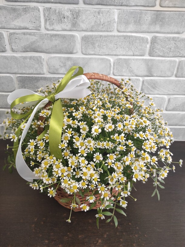 Корзина кустовых ромашек🌼🌼🌼, артикул F1074384 - 7101 рублей, доставка по городу. Flawery - доставка цветов