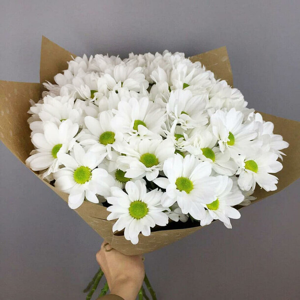Букет из 5 кустовых хризантем, артикул F113319 - 2500 рублей, доставка по городу. Flawery - доставка цветов