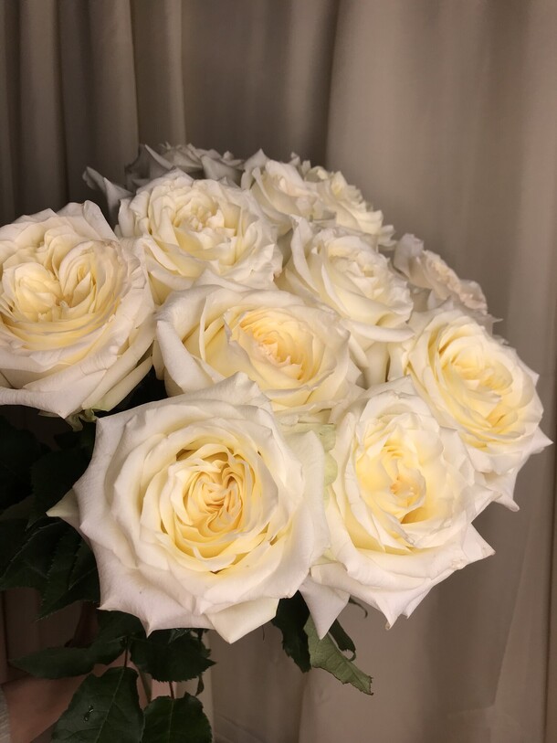 11  белых роз, артикул F1131190 - 5650 рублей, доставка по городу. Flawery - доставка цветов