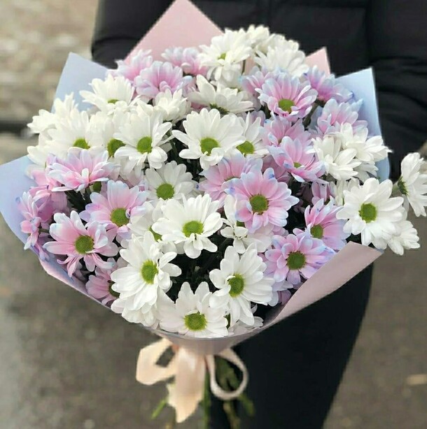 Букет из хризантем нежность, артикул F1083777 - 4290 рублей, доставка по городу. Flawery - доставка цветов