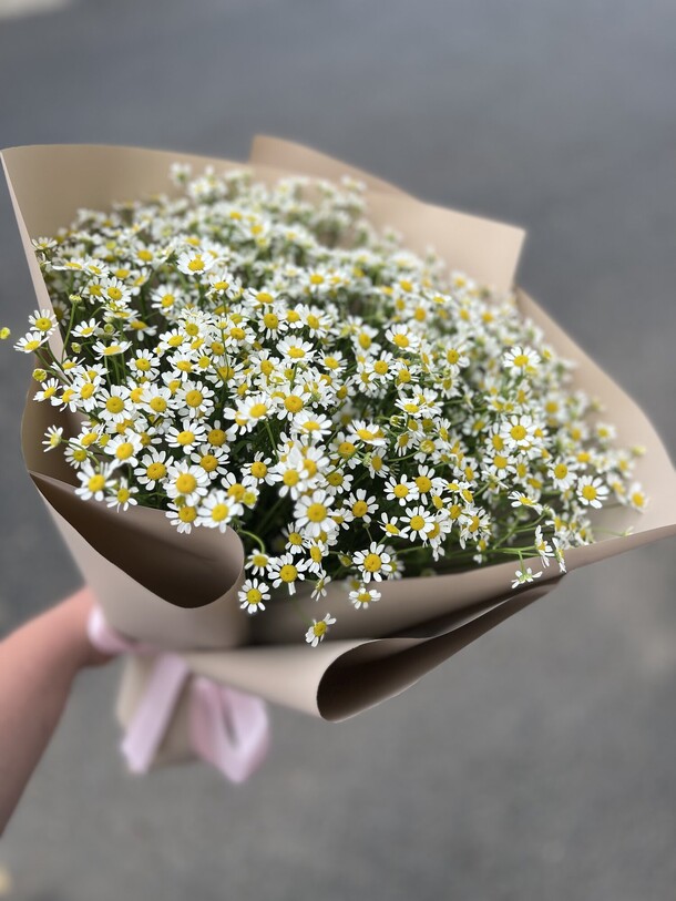 Букет ромашек, артикул F1304669 - 4100 рублей, доставка по городу. Flawery - доставка цветов